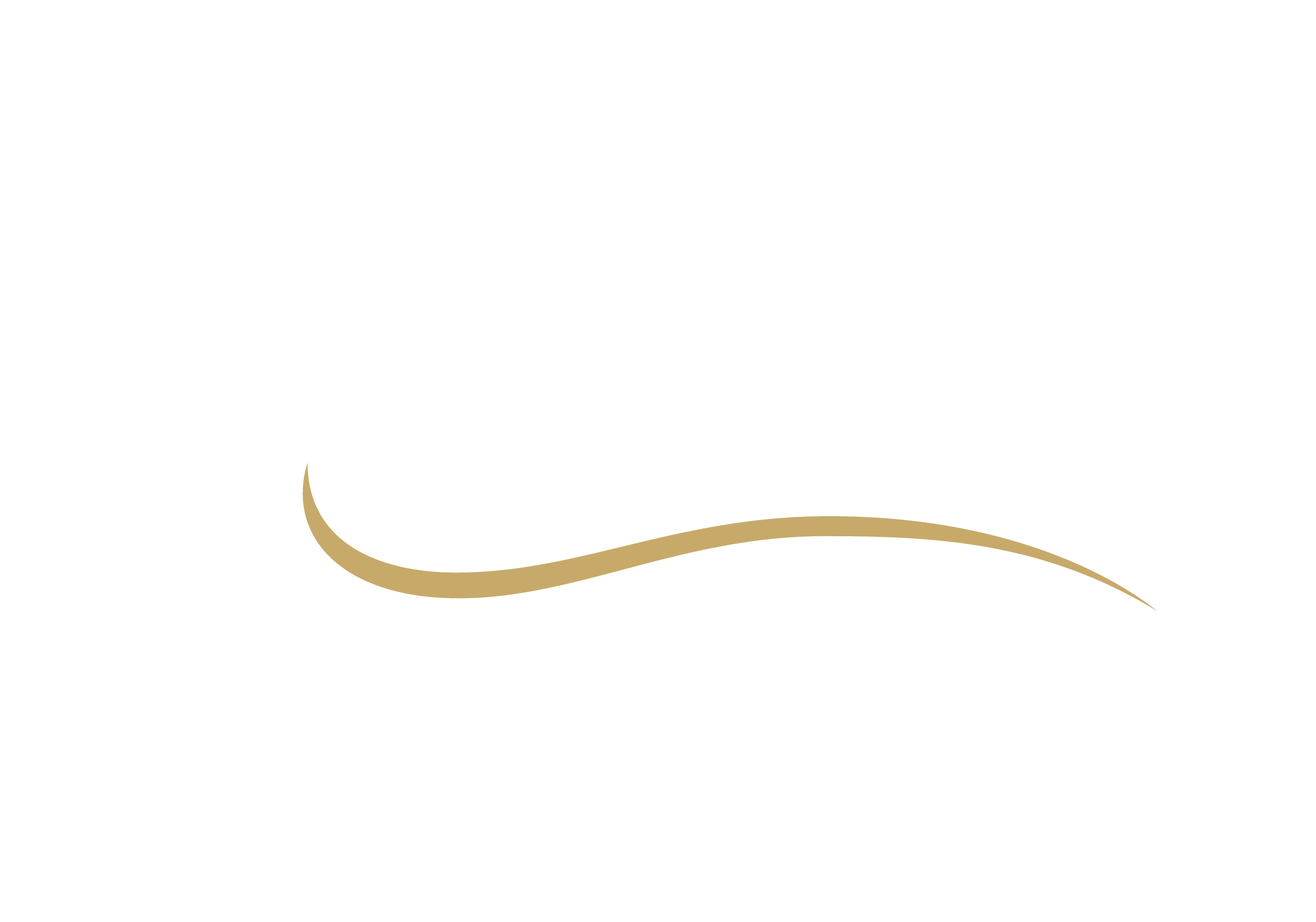 Marca Anuar Cosmeticos-02 BRANCA